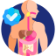 digestive-system